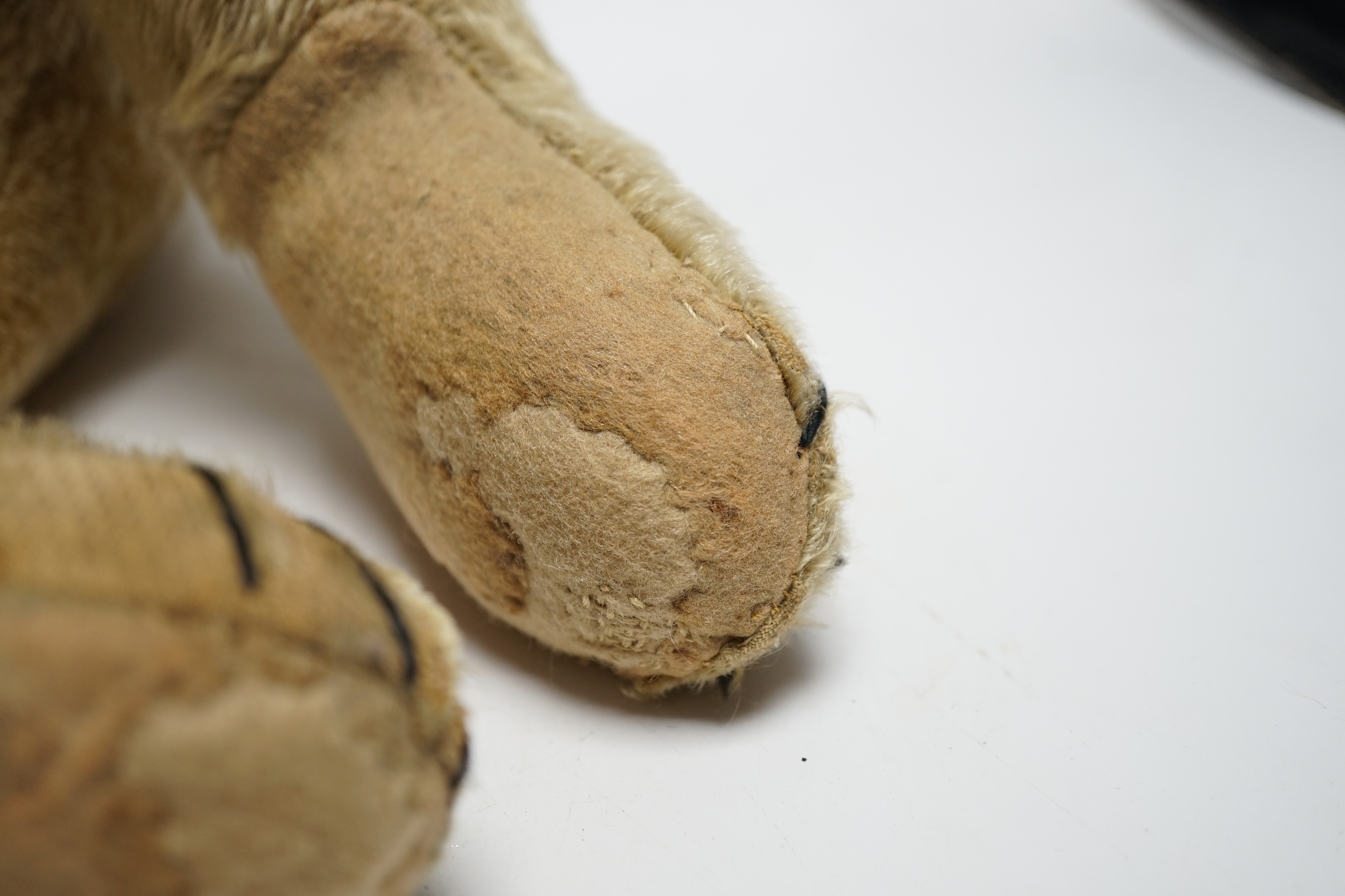 A Steiff bear c.1910, 65cm holes to front of arms, repairs to paw pads and nose, no button